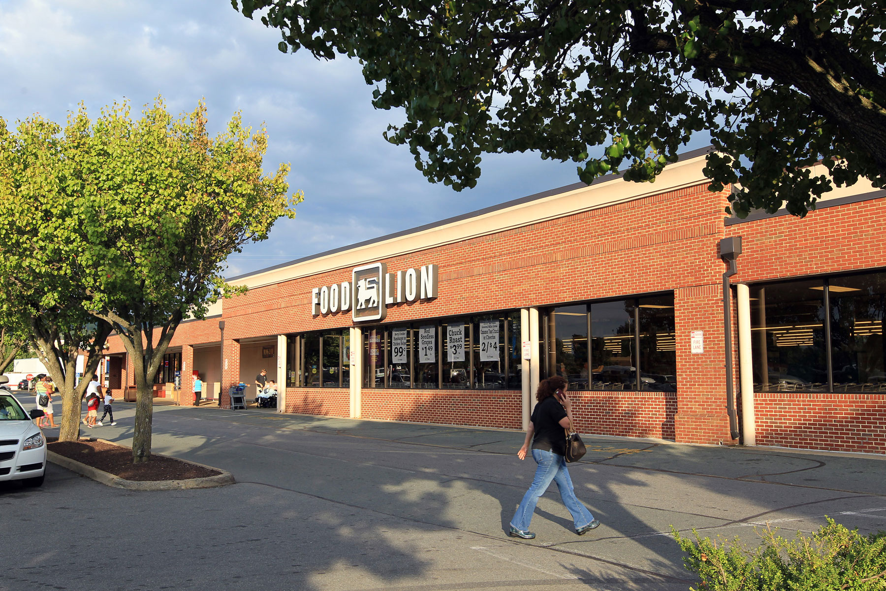 Food Lion Pantops Shopping Center Charlottesville [ 1200 x 1800 Pixel ]